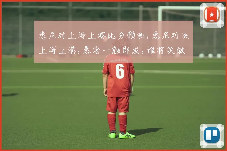 悉尼对上海上港比分预测,悉尼对决上海上港,悬念一触即发,谁将笑傲江湖